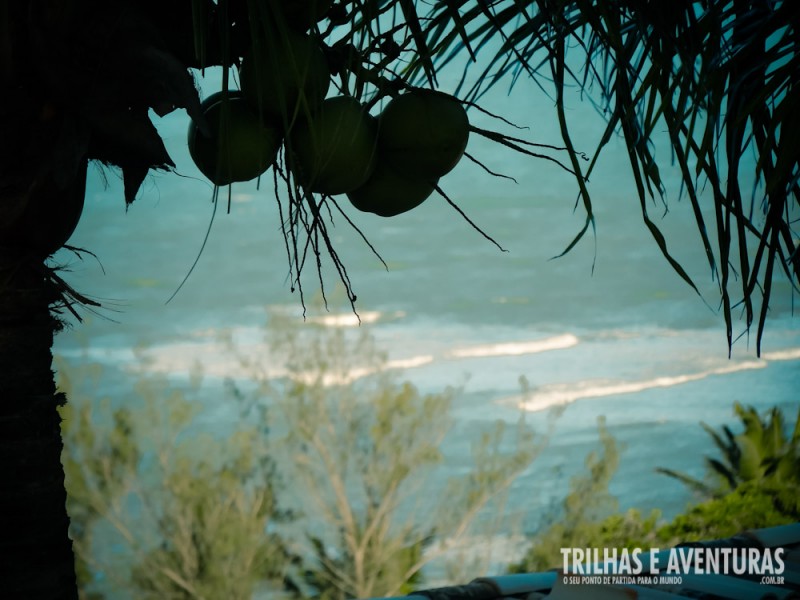 Praia do Amor vista por entre os coqueiros