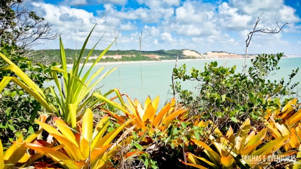 Praia do Madeiro ao fundo... e lindas Bromélias para completar a paisagem