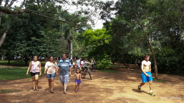 Além das ciclovias tem também trilhas rústicas em todo o parque