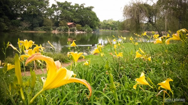 Flores por todos os lados deixam o parque ainda mais bonito