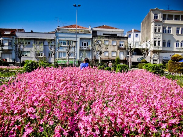 Jardim de Santa Bárbara, em Braga