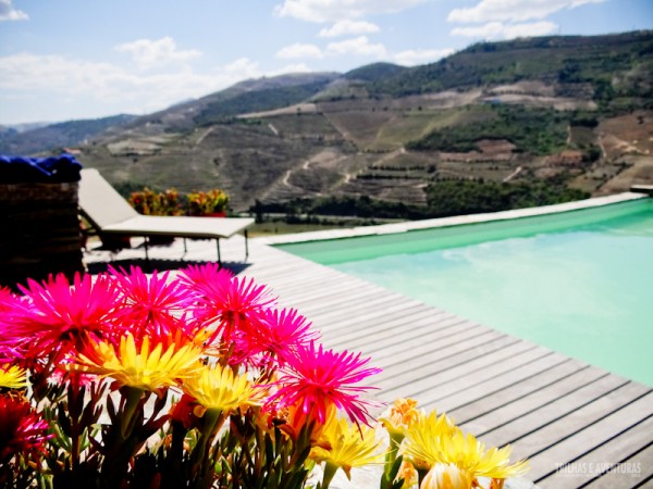 Flores na beira da piscina da Vinícola Quinta Nova