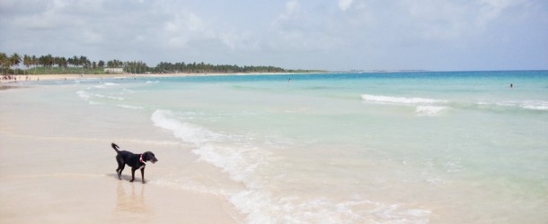 Punta Cana - República Dominicana