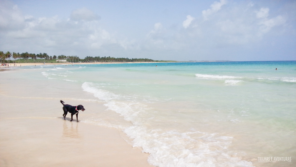 Punta Cana - República Dominicana