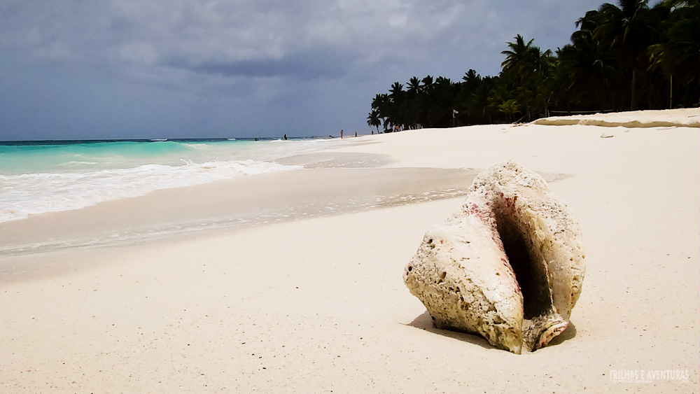 Ilha Saona - República Dominicana