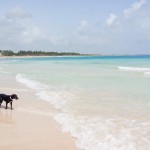 Uma praia pra chamar de sua: Praia de Macau