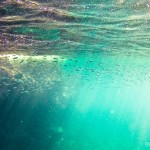 As Ilhas Marietas são um ótimo point de mergulho