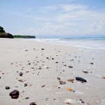 Pedras e conchas na Playa La Lancha