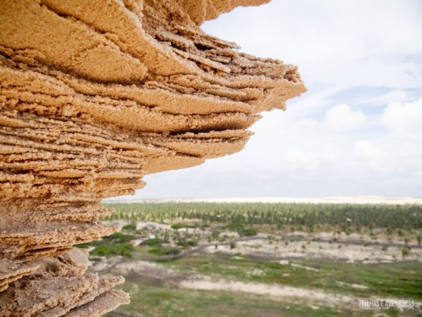 Detalhe da fragilidade desse ambiente que precisa ser preservado