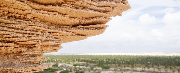 Detalhe da fragilidade desse ambiente que precisa ser preservado