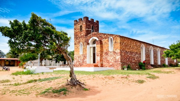 Árvore deitada em frente a Igreja Matriz em Jericoacoara