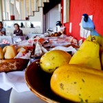 Café da manhã com frutas frescas e sucos naturais