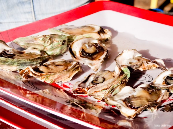 Degustação de ostras frescas na Cabana da Tânia que fica no meio do Rio do Inferno