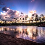 Pôr-do-sol inesquecível no coqueiral da praia de Imbassaí