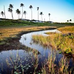 Um dos cenários mais lindos em Massarandupió é o rio por trás das dunas