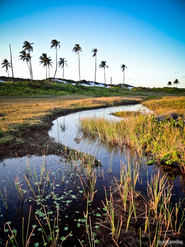 Um dos cenários mais lindos em Massarandupió é o rio por trás das dunas