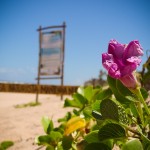 Contato pleno com a natureza em Massarandupió, na Bahia