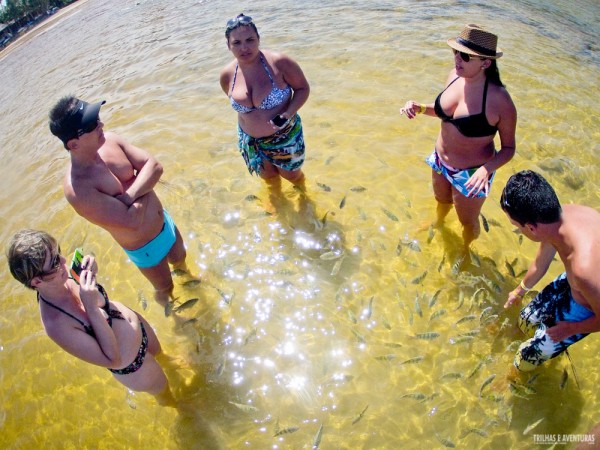 Diversão garantida para todas as idades ao redor dos peixinhos na Quarta Praia