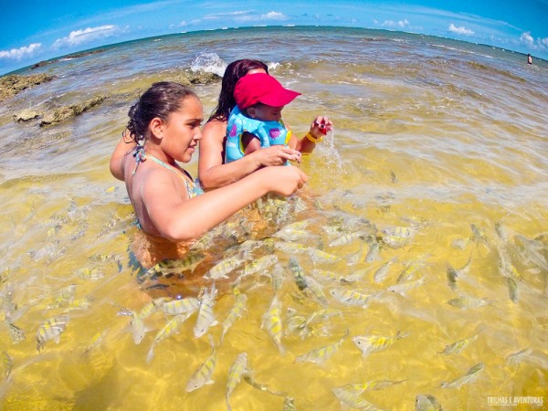 As piscinas naturais são diversão garantida para as crianças