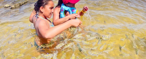 As piscinas naturais são diversão garantida para as crianças