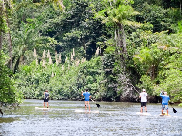 Belas paisagens durante o SUP no Rio de Contas em Itacaré