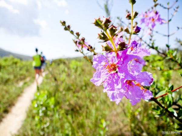 Trilha-Chapada-Lavras-Novas-9