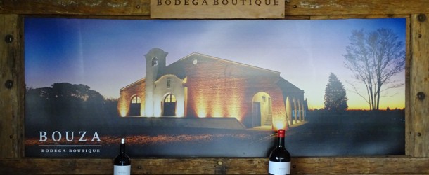 Bouza Bodega Boutique, vinícola orgânica em Montevidéu