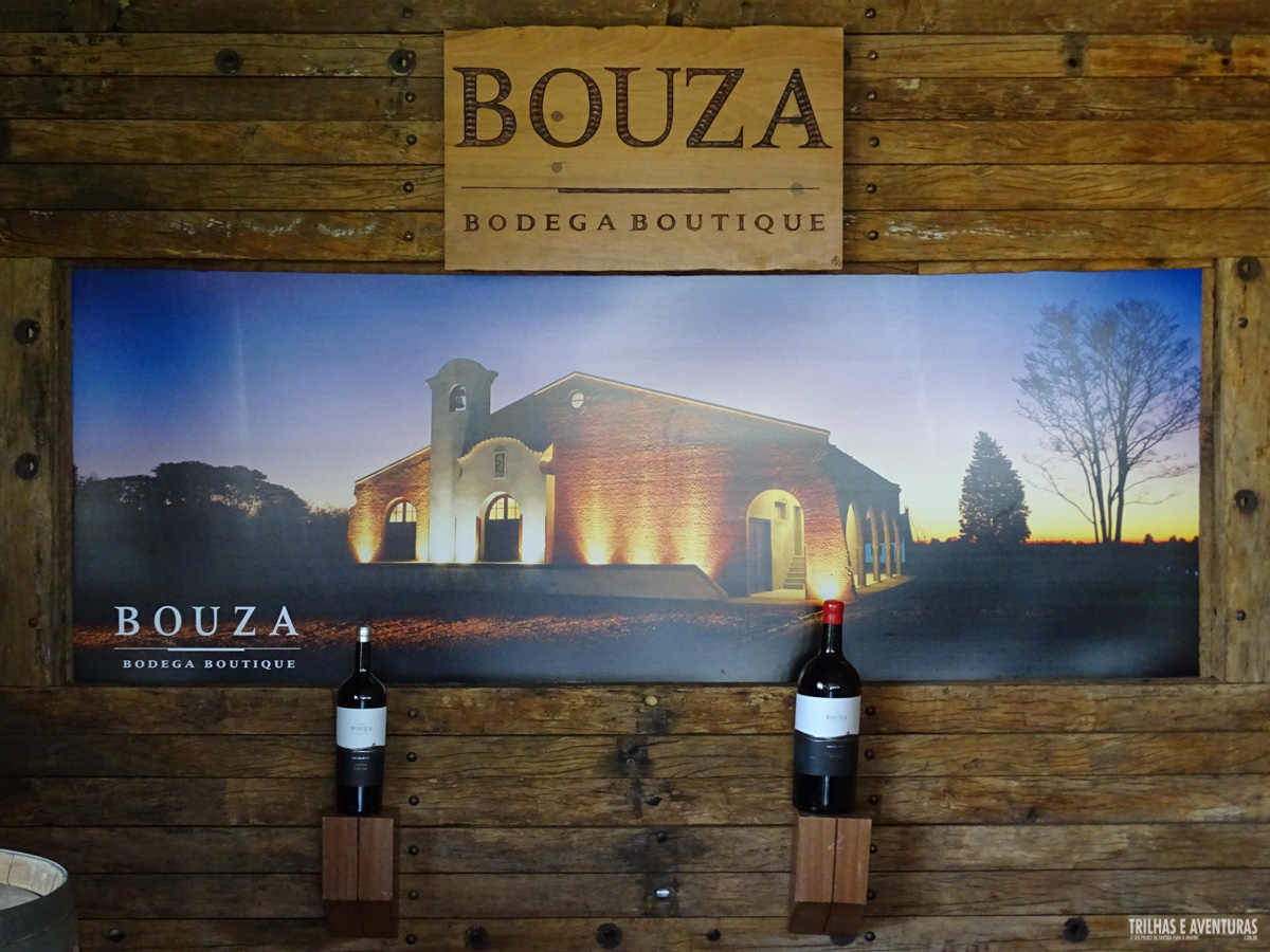 Bouza Bodega Boutique, vinícola orgânica em Montevidéu