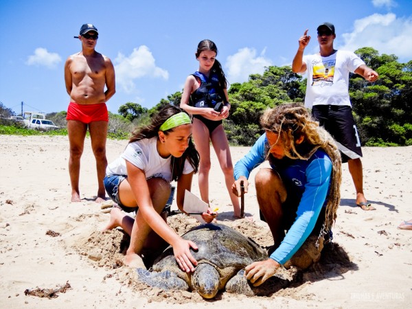 Captura tartarugas sueste Noronha 2