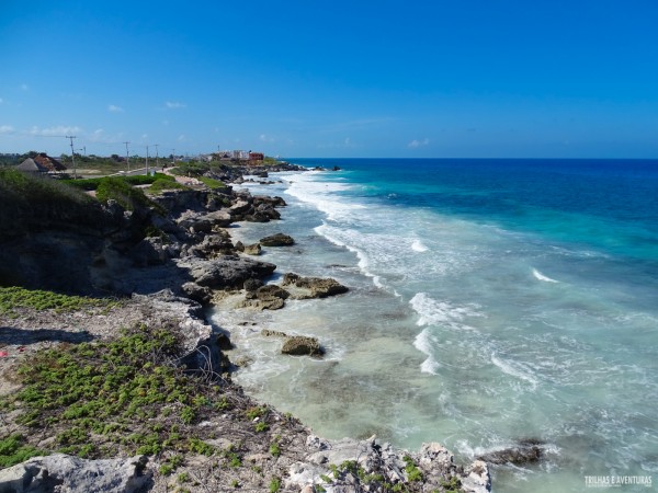 O lado selvagem de Isla Mujeres