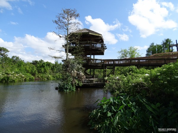 Gatorland Park - Orlando