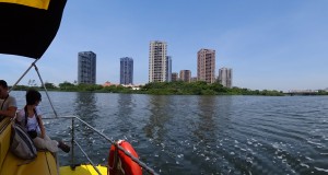 Passeio de barco pelo Pantanal Carioca - Barra Water Shuttle