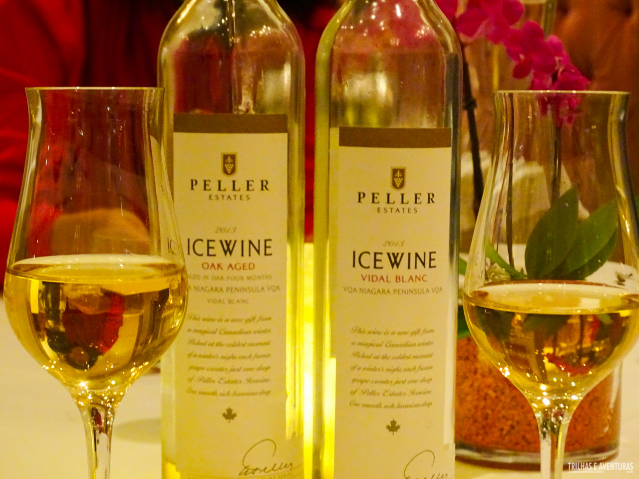 Vinícola Peller em Niagara-On-The-Lake