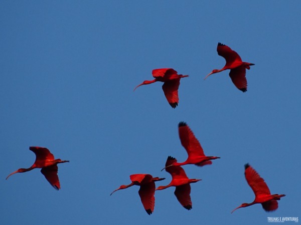 Delta do Parnaíba - Rota das Emoções