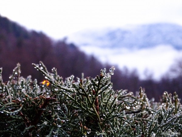 Nada mal acordar com essa vista congelada em Malalcahuello durante o inverno