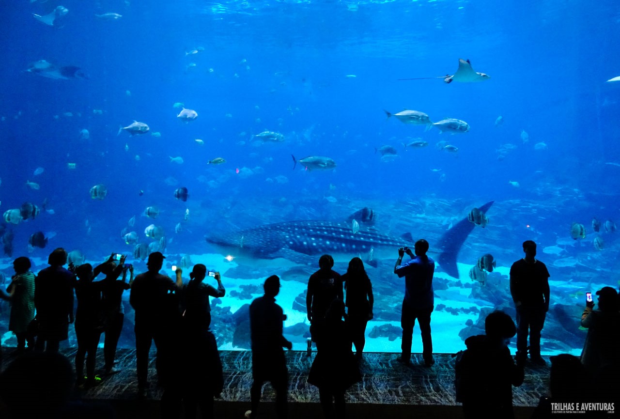 Georgia Aquarium em Atlanta