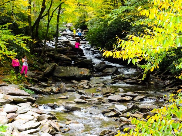 Great Smoky Mountains National Park-10