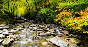 Great Smoky Mountains National Park