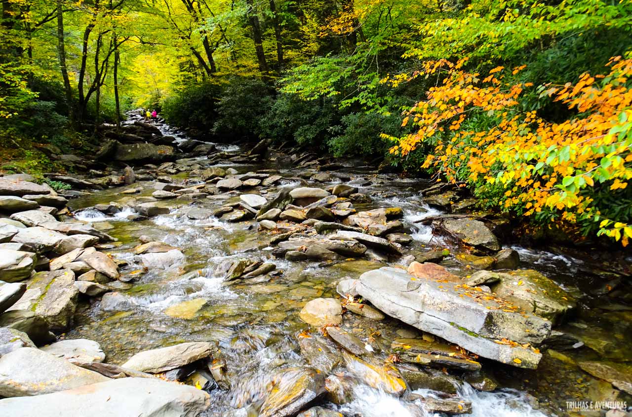 Great Smoky Mountains National Park