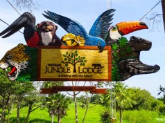 Bem vindos ao Pantanal Jungle Lodge