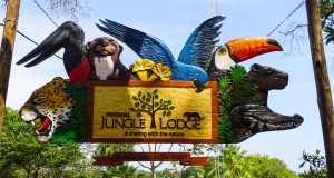 Bem vindos ao Pantanal Jungle Lodge