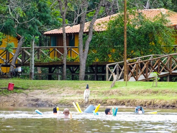 Viagem ao Pantanal-6