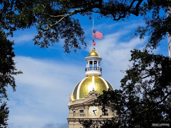 Um surpresa por entre a copa das árvores em Savannah