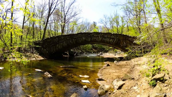 Rock Creek Park Washington DC-5