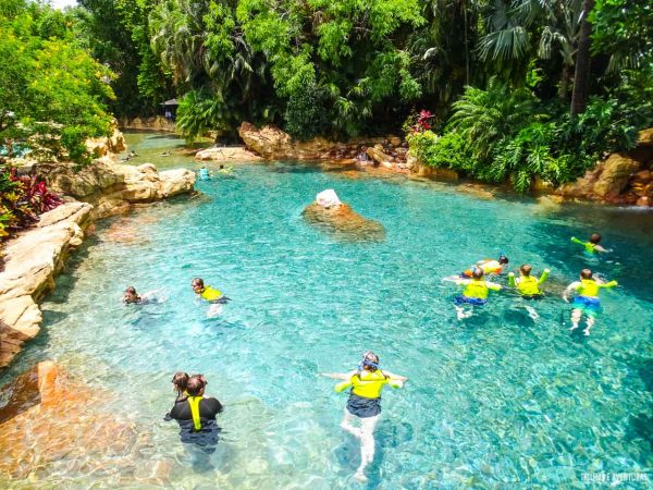 Discovery Cove Orlando-21