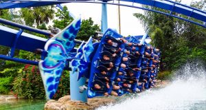 A Manta dá um show logo na entrada do SeaWorld