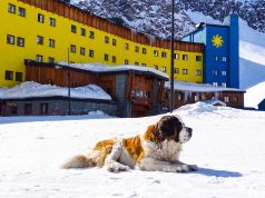 O mascote de Ski Portillo dando as boas vindas a todos