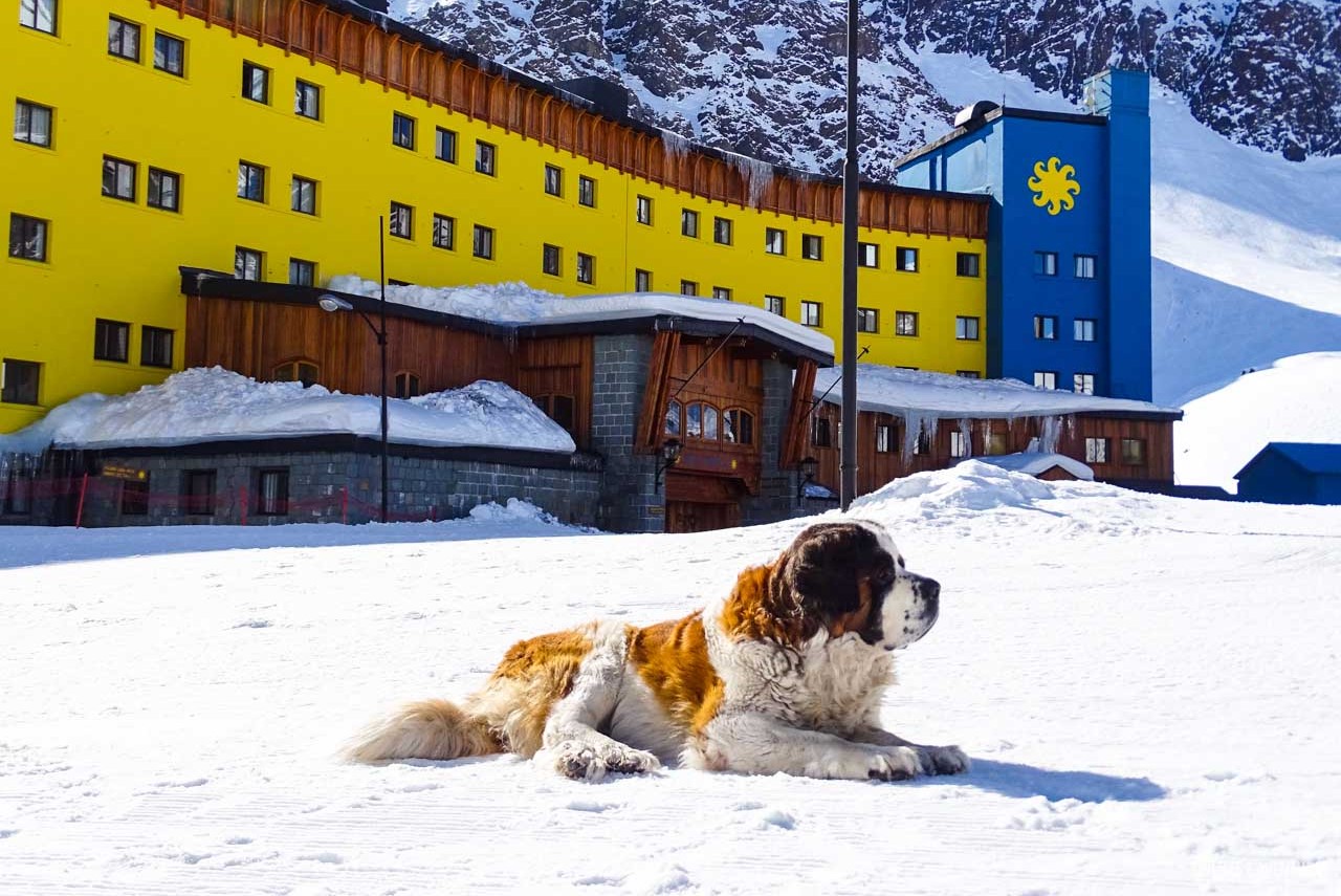 O mascote de Ski Portillo dando as boas vindas a todos