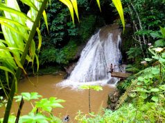 Essa é uma das cachoeiras mais lindas da Jamaica: a Island Gully Falls