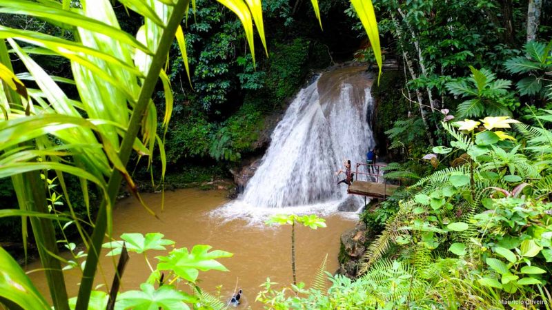 Essa é uma das cachoeiras mais lindas da Jamaica: a Island Gully Falls